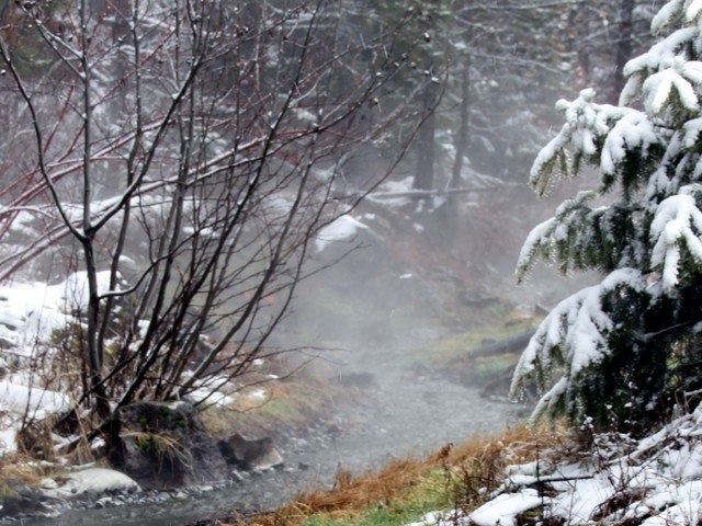 Footsteps at Carman Oaks - Memory Care Assisted Living Home Image in Lake Oswego, OR